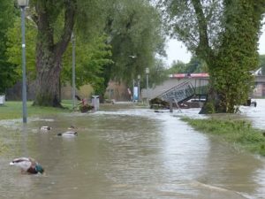 Auckland flood restoration